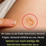 Einfaches Hackfleisch-Lo-Mein – das Abendessen, das mich an stressigen Tagen rettet und die ganze Familie an einen Tisch bringt