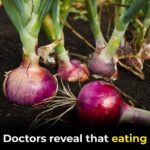 Crinkle Cake: A Rustic French-Inspired Delight