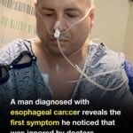 Pour this 1 mixture over raw chicken and shells into a slow cooker for a warming dinner that hits different every single time