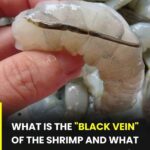 8 Subtle Signs Angels Might Be Near Your Home!