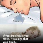 These are clear signs that he is in trouble—when swollen feet point to circulation problems, fluid retention, inflammation, or other health concerns that shouldn’t be ignored, urging attention, monitoring, and a medical check-up to uncover what’s really going on beneath the surface