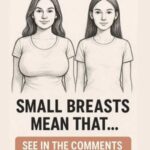 What the Little Button on Your Seat Belt Really Does – A Tiny Feature With a Big Purpose ✨