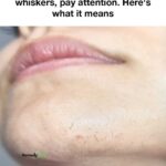 If You Notice This Insect, Follow These Important Steps