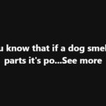 I accidentally made this too good. Now it’s the only thing anyone wants me to bring to potluck.