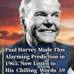 Found this weird fuzzy cone with bright red berries popping out of it under my tree.