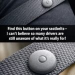 Drop frozen pierogi into the slow cooker with a few extras and it turns into pure comfort.