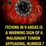 At 18, Barron Trump FINALLY Admits What We All Suspected…See more