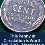 Very dirty mop, don’t buy it again: a drop of this ingredient and it will be like new.