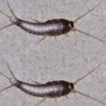 The Little Boy In This Photo Is Now The Most Famous Man On Earth