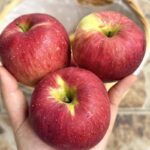 Do not thaw frozen meat in water! According to the chefs, there is a way to thaw it in 5 minutes while maintaining its great taste!