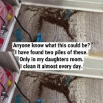 The Fastest Air Fryer Baked Potato