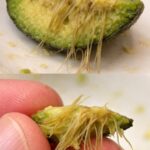 Low Carb 3-Ingredient Salmon Patties!!!