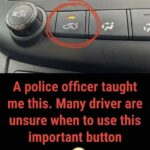 3-Ingredient Pan-Fried Halloumi!!!