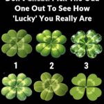 A Healthy and Delicious Way to Enjoy Dates in Your Diet: Nature’s Sweet Superfood for Health and Energy