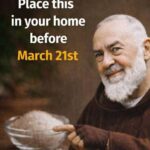 Honey Garlic Pork Chops!!!