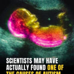 My uncle’s trick for the most tender dinner requires just 4 ingredients sealed tightly in foil. The juices lock inside all day until the meat literally falls apart at the touch of a fork.