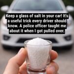 Candied Kielbasa Bites!!!