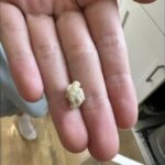 Why Dogs Sniff Certain Areas! The Surprising Reason Behind This Natural Behavior!