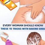 Slow Cooker Amish Onion Pork Noodles: The Farmhouse Supper You’ll Crave Week After Week