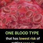 Paris Jackson Breaks Two Decades of Silence with a Profound Public Reflection on Growing Up Under Global Scrutiny, Confronting Personal and Family Challenges, and Illuminating the Complex, Enduring Legacy Left by Michael Jackson in a Candid Statement That Offers a Rare and Deeply Human Glimpse into Her Life and Journey