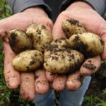 11 Foods You Should Never Put in a Slow Cooker