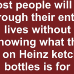 THE SEARCH IS OVER! SAVANNAH GUTHRIE BREAKS DOWN LIVE AS POLICE DELIVER THE FINAL, HEARTBREAKING UPDATE IN HER MOTHER CASE!