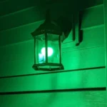 Slow Cooker Braised Cabbage and Bacon!!!