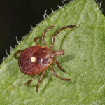 If Your Hip Hurts, It’s a Clear Sign That…