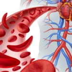 Slow Cooker Braised Cabbage and Bacon!!!