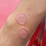 “My husband is from the South and had mentioned these a few times already”