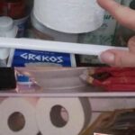 A Scientific Look at Oregano’s Role in Supporting Wellness