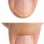 🥪 Pick One Sandwich — What Your Choice Might Reveal About Your Personality