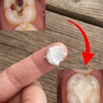 Easy Candied Kielbasa Bites (Sweet & Smoky Party Appetizer Recipe)