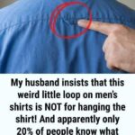 Why Dogs Sniff Certain Areas: The Science Behind This Natural Behavior