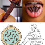 Candied Kielbasa Bites Recipe!!!