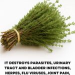 Easy No-Bake Caramel Chocolate Crunch Bars (Best Quick Dessert Recipe)