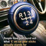 Easy Southern Brown Sugar Bacon Crackers (Sweet & Salty Party Appetizer)