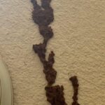 Doctors Explain Why Eating Eggs in the Morning Can Make a Noticeable Difference