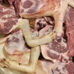 My Dad Kicked Me Out at 17 When He Found Out I Was Pregnant — 18 Years Later, My Son Changed Everything