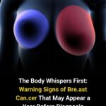 The World’s Deadliest Food: Why Hundreds Die Each Year Eating Fugu (And Why Millions Still Risk It)