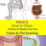 Easy Slow Cooker Creamy Ranch Chicken (4-Ingredient Family Dinner)