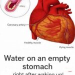 Easy Fig, Prune & Apricot Nighttime Remedy – A Healthy High-Fiber Snack for Joint Support and Better Sleep