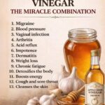 Why Oranges Are Sold in Red Mesh Bags (The Surprising Reason Grocery Stores Use This Trick)