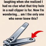 Easy Slow Cooker Ground Pork Noodles (4-Ingredient Comfort Food Dinner)