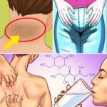 Easy Authentic Capirotada (Mexican Bread Pudding) – The Best Traditional Comfort Dessert