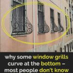 This Weird Little “Stick” Is Going Viral for Foot Pain Relief — And People Swear It Actually Works 👣✨