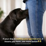 Doctors Reveal What Happens When You Add Cucumbers to Your Salads Regularly