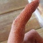 Easy Slow Cooker 3-Ingredient BBQ Country Style Ribs (Tender, Juicy & Perfect for a Quick Dinner)