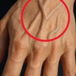 🥘 Creamy Slow Cooker Beef & Mushroom Noodle Casserole (Amish-Style Comfort Classic)