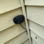 Mystery Blob in the Bathroom? The Truth About Slime Mold (And Why It’s Usually Harmless)